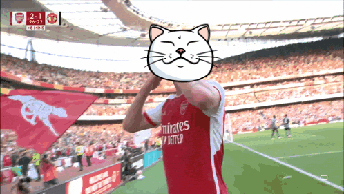 Cat Soccer GIF by ShiroNeko