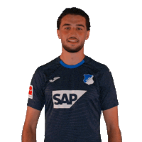Sport Bundesliga Sticker by TSG Hoffenheim