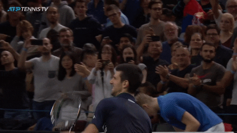 Winning Novak Djokovic GIF by Tennis TV