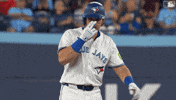Blue Jays Celebration GIF by Toronto Blue Jays