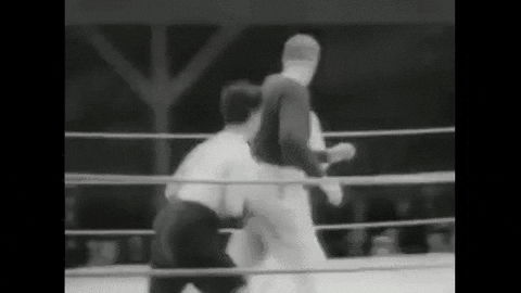 box charlie GIF
