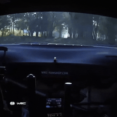 Paraguay Dashcam GIF by FIA World Rally Championship