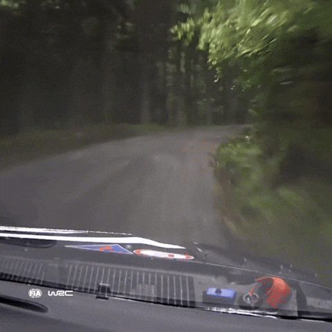 Dashcam GIF by FIA World Rally Championship