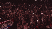 beychella beyonce homecoming GIF