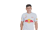 Be Quiet Nicolas Capaldo Sticker by FC Red Bull Salzburg
