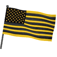 Flag America Sticker by Wyffels Hybrids