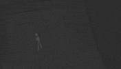 Animation Scifi GIF