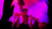 Get Your Boots On GIF by Rob Zombie