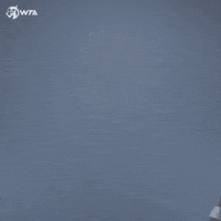 Walk In Tennis GIF by WTA