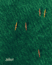Belize GIF by Island Expeditions