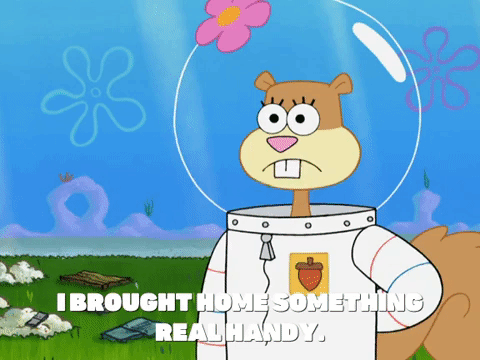 season 8 episode 13 GIF by SpongeBob SquarePants