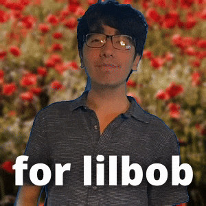 Bob Lil GIF