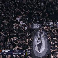 Grobari Gravediggers GIF by Basketball Club Partizan