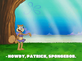 season 7 episode 6 GIF by SpongeBob SquarePants
