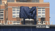 sd GIF by MLB