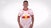 Red Bull Sport GIF by FC Red Bull Salzburg