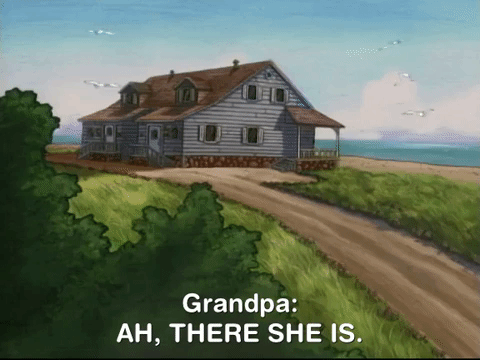 hey arnold nicksplat GIF