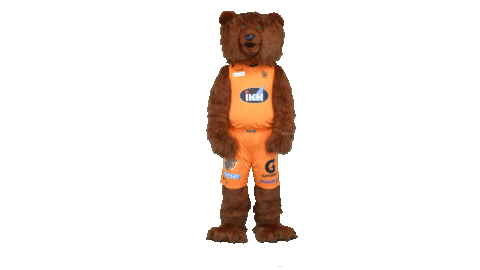 Sport Bear Sticker by Basket_fi