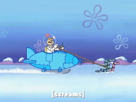 season 8 frozen face-off GIF by SpongeBob SquarePants