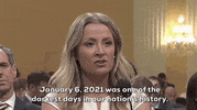 January 6 GIF by GIPHY News