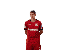 Bayer 04 Deal With It Sticker by Bayer 04 Leverkusen