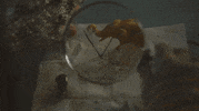 music video GIF by Radical Face