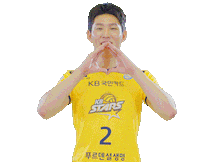 Kb스타즈 Sticker by KB STARS VOLLEYBALL CLUB