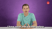 International Cat Day Kittens GIF by BuzzFeed