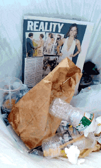 art GIF by Signe Pierce