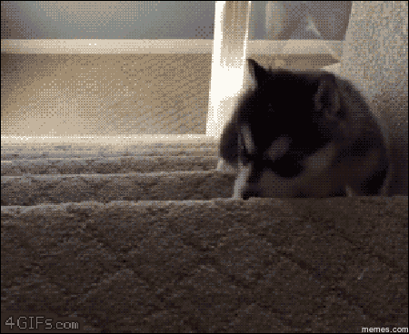 falling GIF