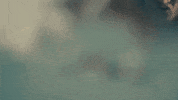 Music Video Laughing GIF by Militarie Gun