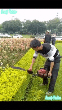 madmoizelledotcom  GIF