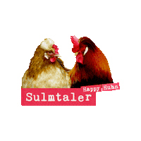 roberthck chicken rooster pollo chickens Sticker