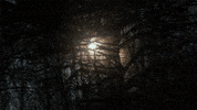 The Other Side Sun GIF by Maddie And Tae