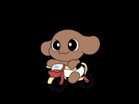 ujuice_ puppy bicycle poodle 강아지 GIF