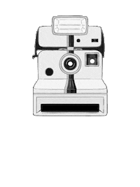 Lights Camera Action Art Sticker by B2Y Productions