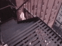 Music Video Dancing GIF
