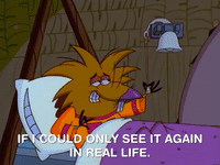 nickrewind nicksplat angry beavers GIF