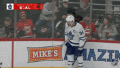Happy National Hockey League GIF by NHL