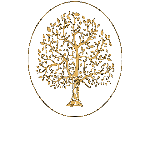 institutodentallifeoficial giphygifmaker Sticker