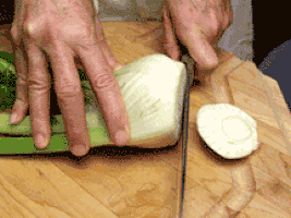 slice GIF