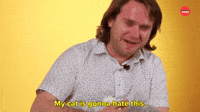 My Cat Is Gonna Hate This