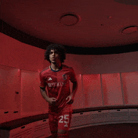Lets Go Mls GIF by St. Louis CITY SC
