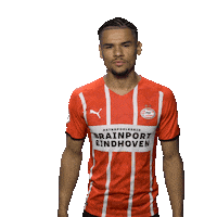 Football Celebrate Sticker by PSV