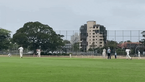 UTS_NSDCC giphygifmaker GIF