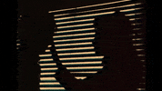 Blixa Bargeld 80S GIF