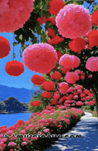 Amigos Flores GIF by Murcianys LLC