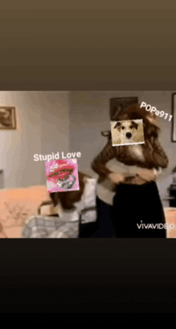 Max_The_Emperor giphygifmaker giphygifmakermobile GIF