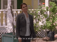 season 4 netflix GIF by Gilmore Girls 