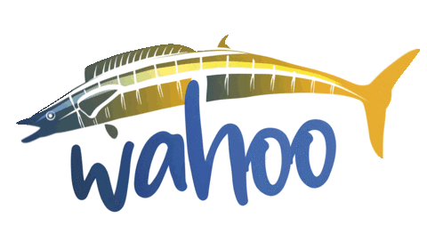 WahooRestaurante giphyupload acapulco mariscos wahoo Sticker